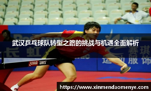 武汉乒乓球队转型之路的挑战与机遇全面解析